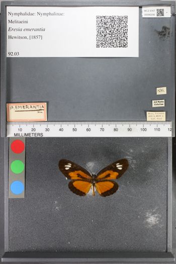 Media type: image;   Entomology 90206